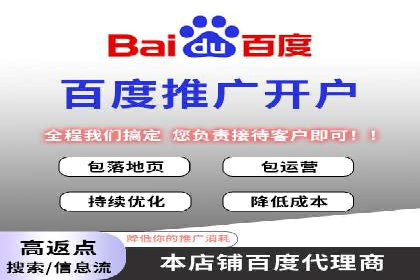 某电商平台sem竞价运营的突破与挑战